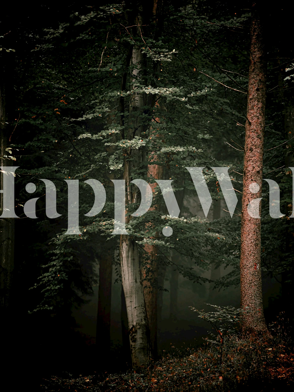 Forest Pines tapet i et koselig rom