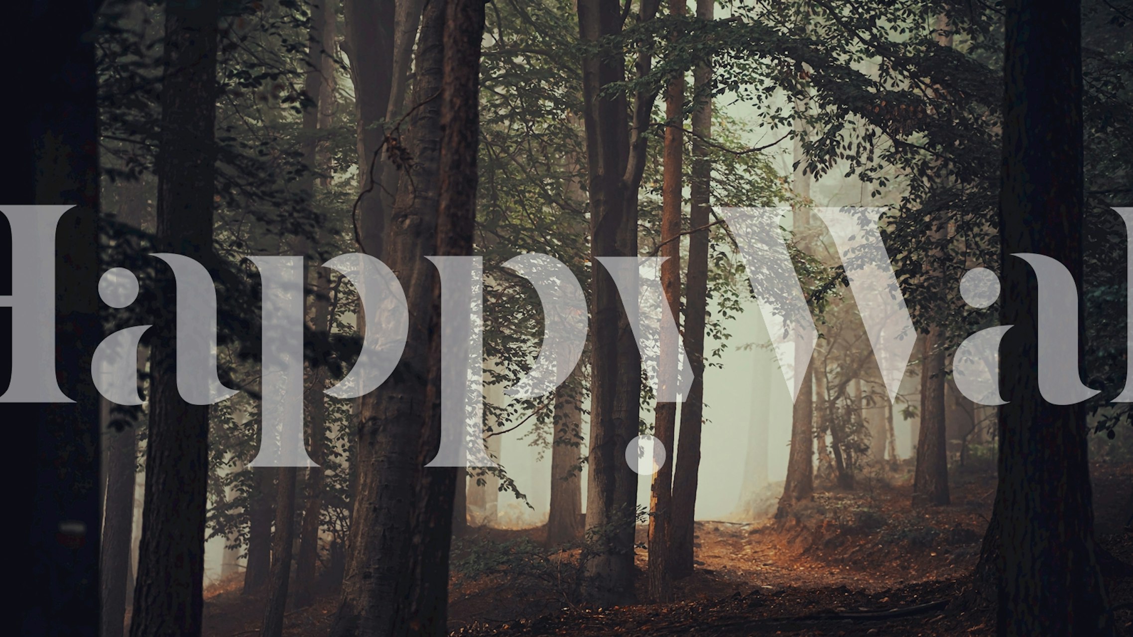 Forest Scenery tapet i et rom