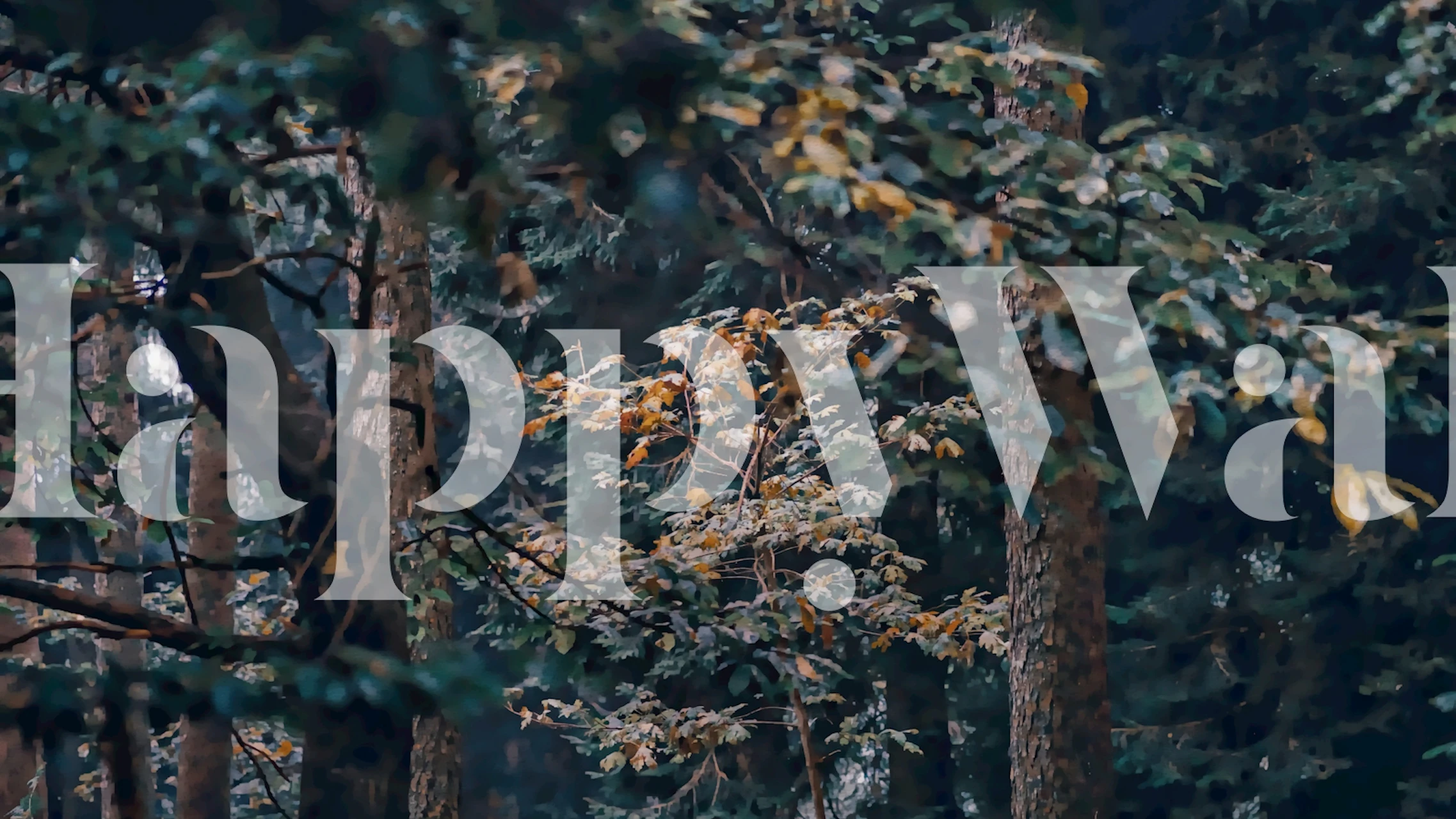 Une scène forestière tranquille à l’aube avec la lumière du soleil perçant les arbres sur une fresque murale.