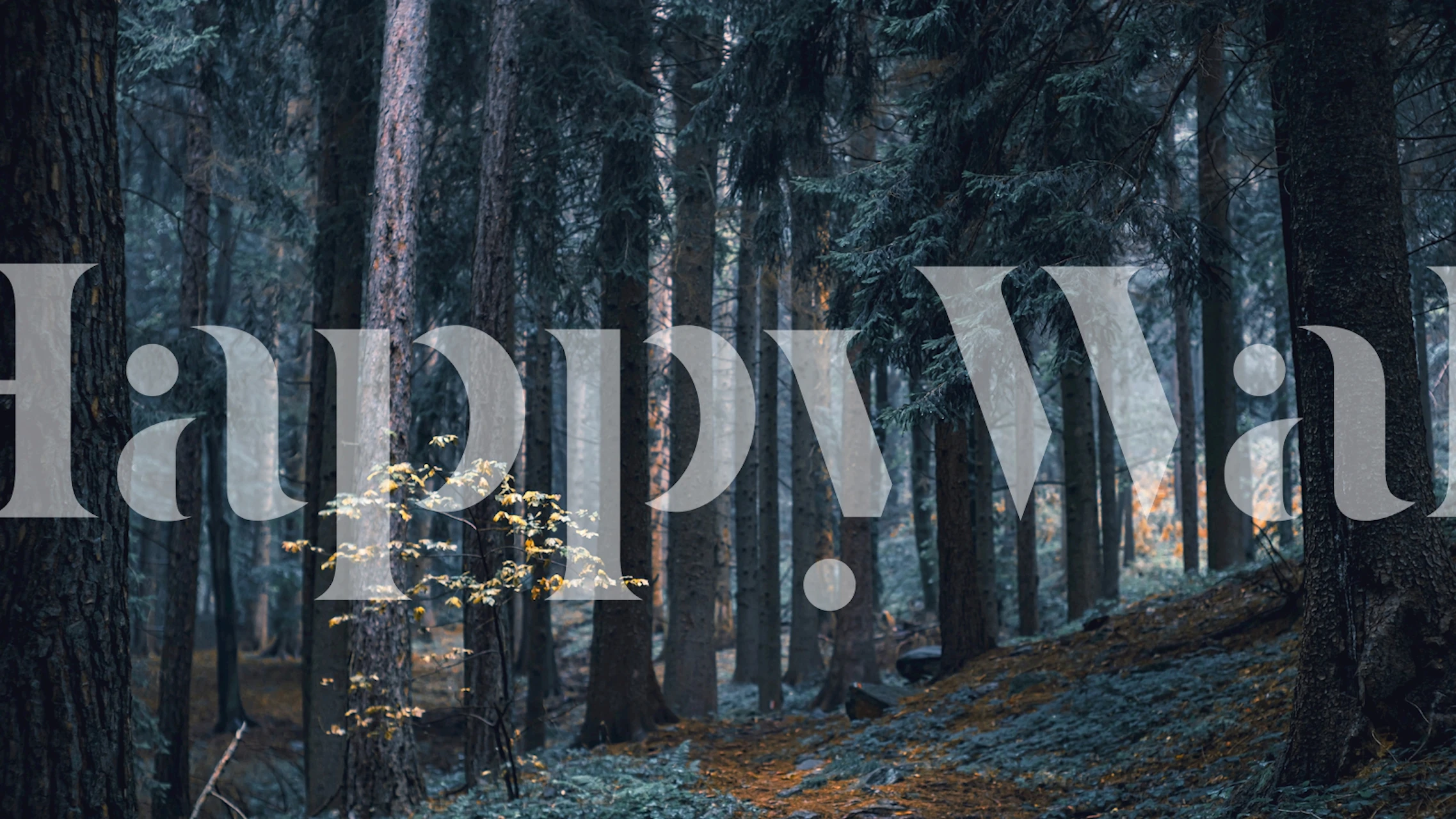 Papel de parede Moonlight Forest em um quarto