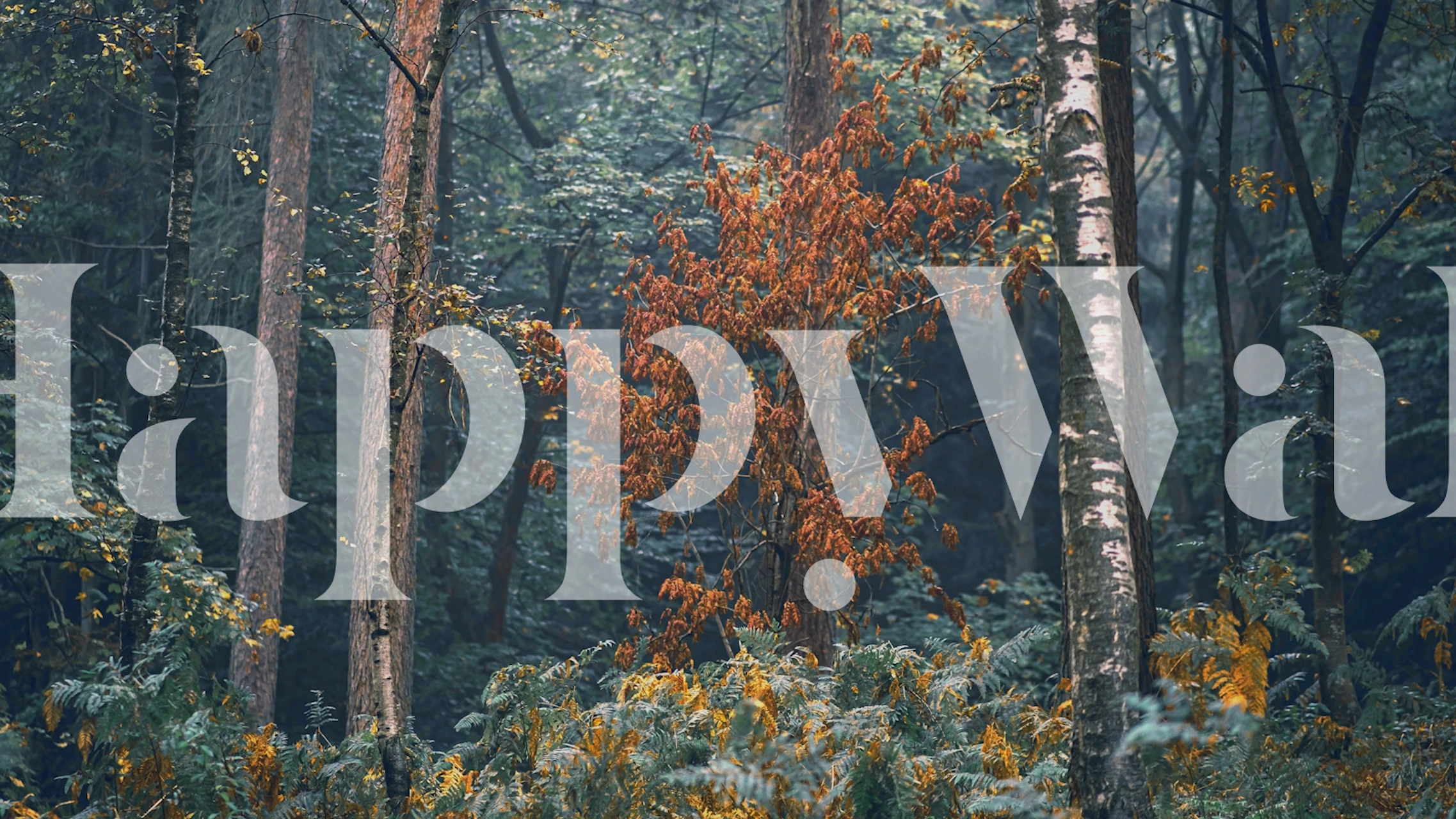 Forest scenery with green foliage and orange accents wallpaper