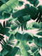 Banana Leaves Summer Jungle 2