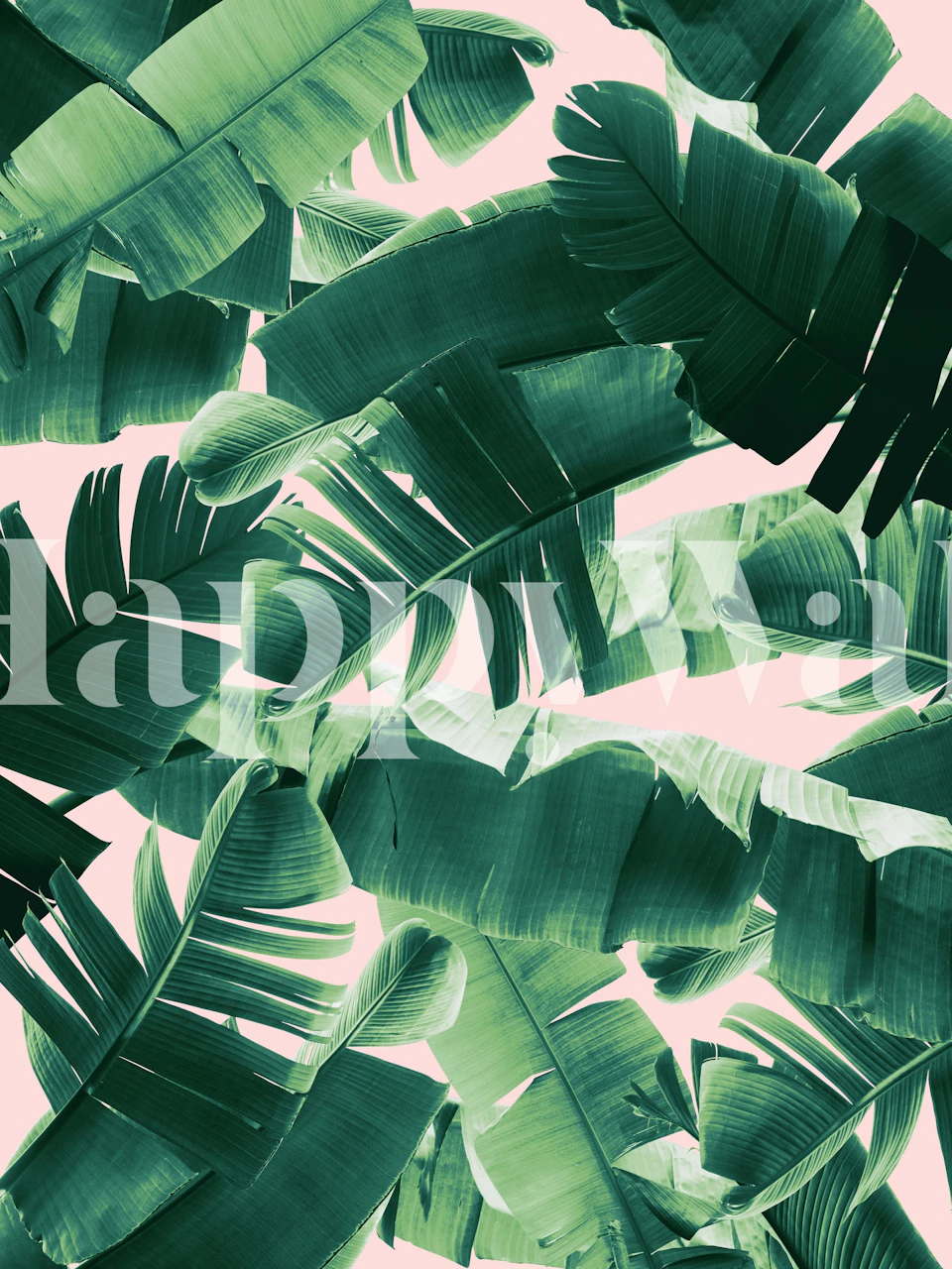 Banana Leaves Summer Jungle 2 ontwerp in een kamer