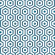 Teal White Hexagon Pattern