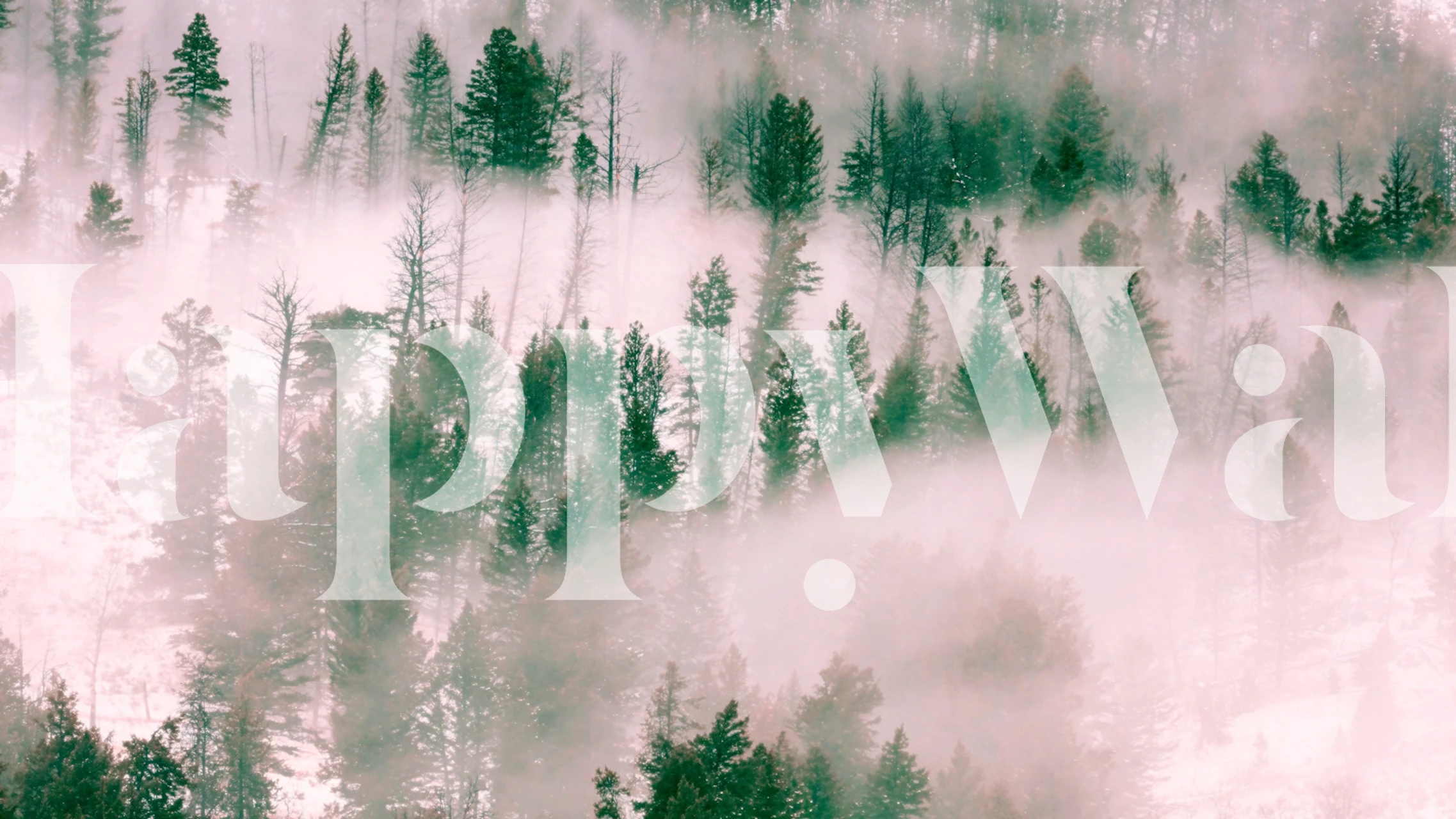 Foggy green forest with misty trees wallpaper