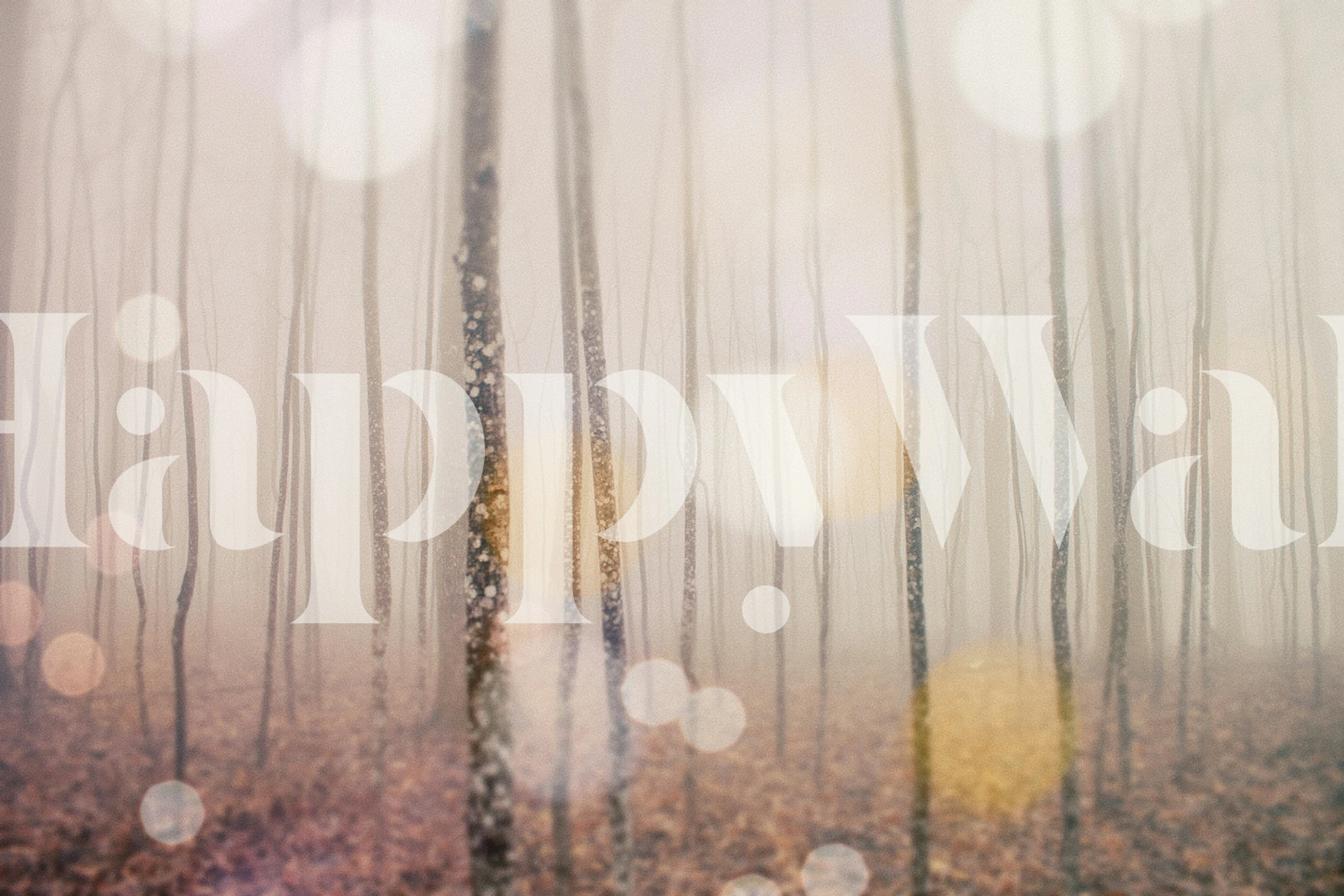 Blurred forest wallpaper in a room display