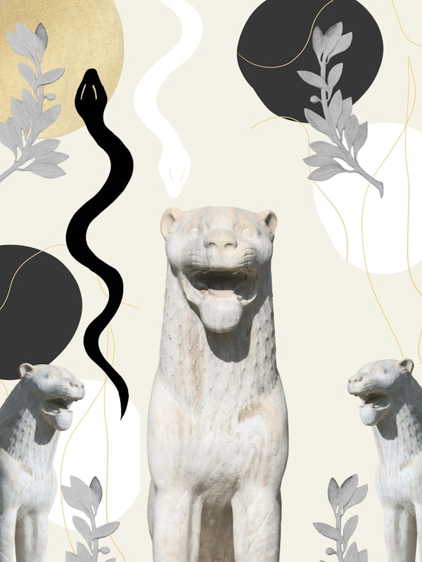 Lion Snake Finesse 1