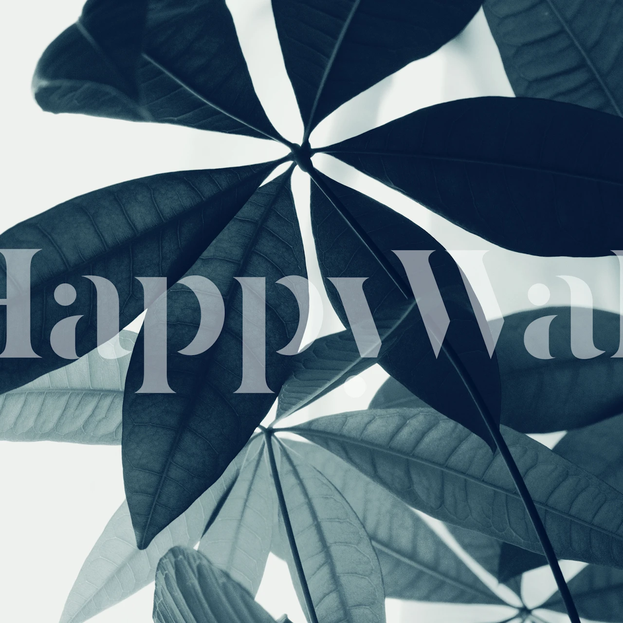 Pachira Aquatica wallpaper in a room