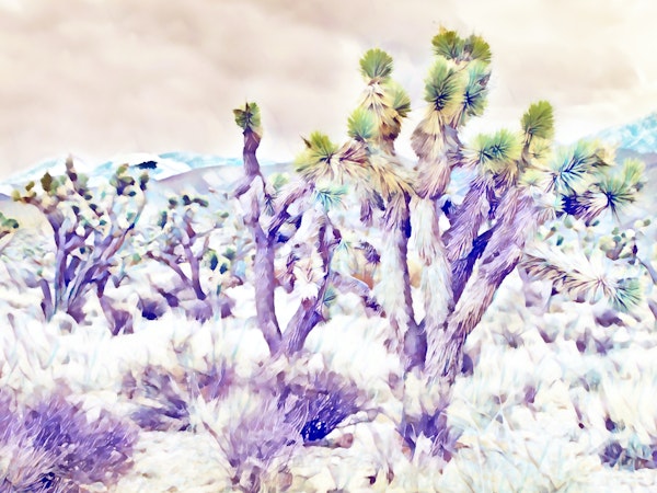 Contemporary Desert Pastel Art
