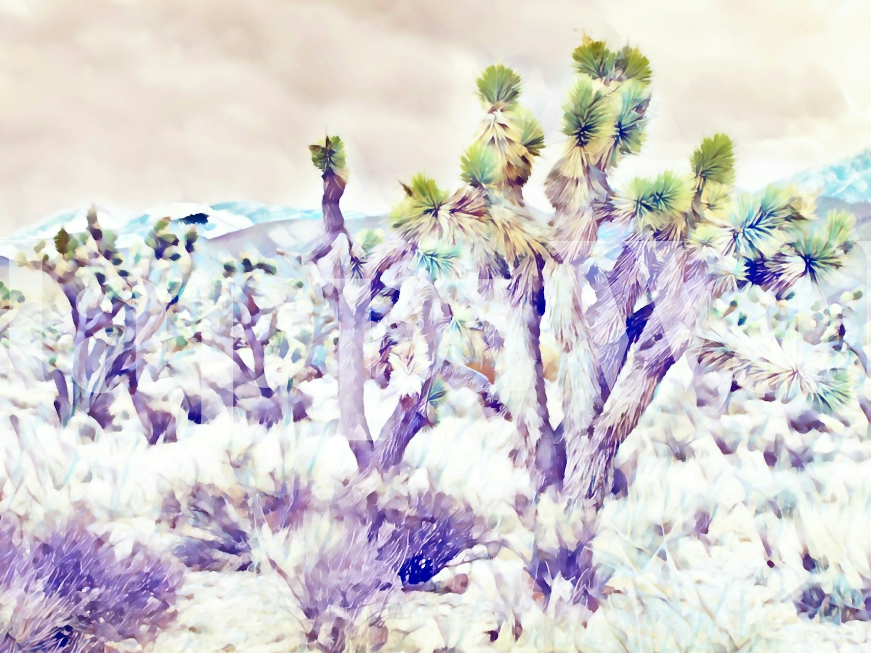 Contemporary desert pastel wallpaper in a room