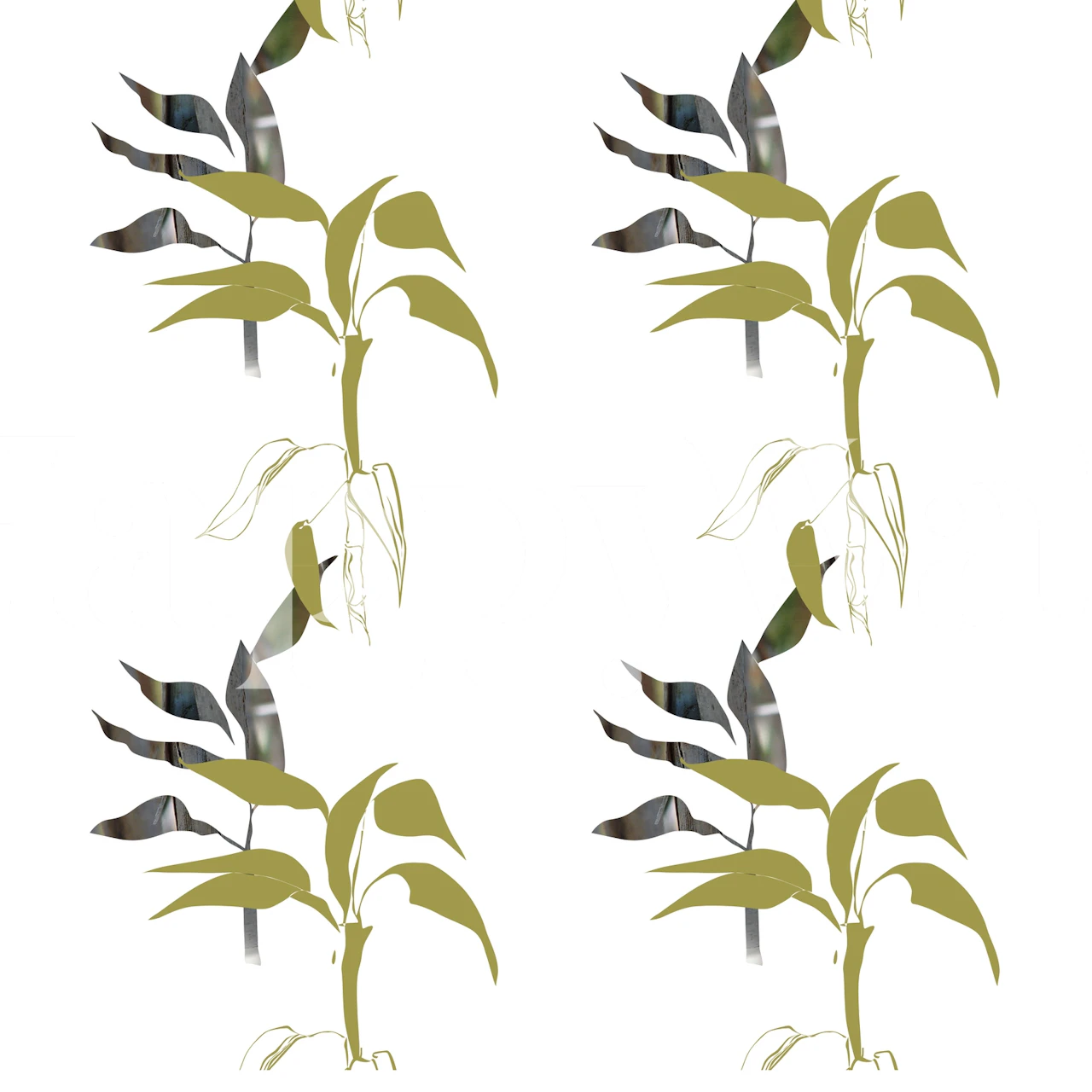 Lucky bamboo wallpaper in a room