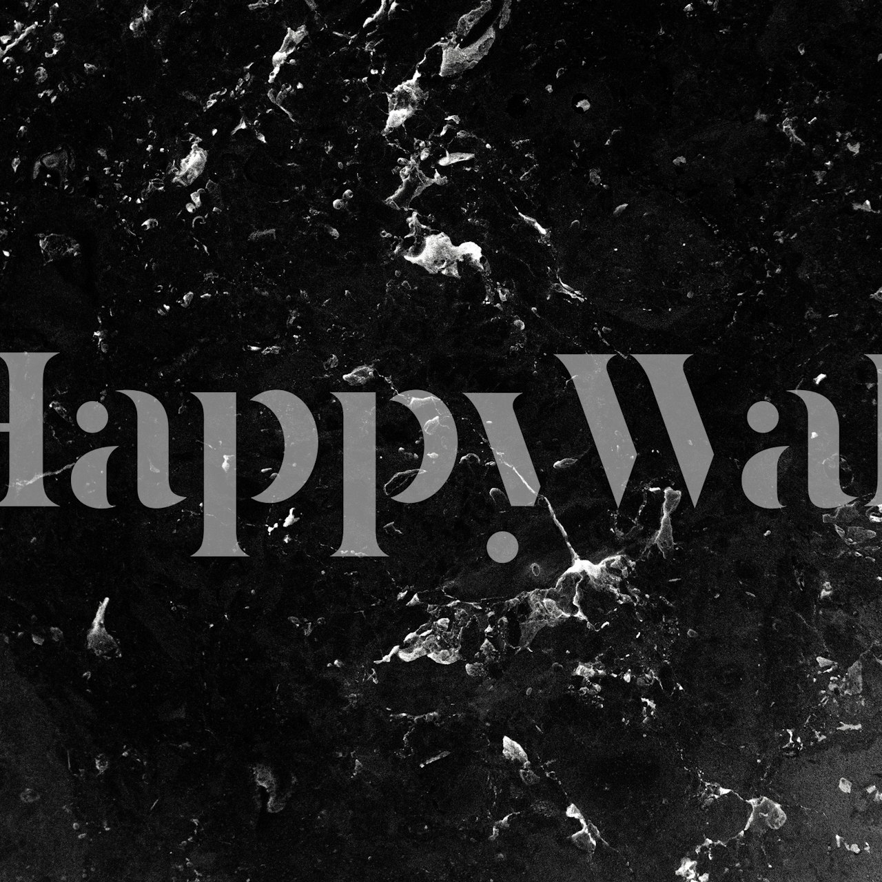 Black Marble 4 wall mural with deep black tones and white veins for an elegant look