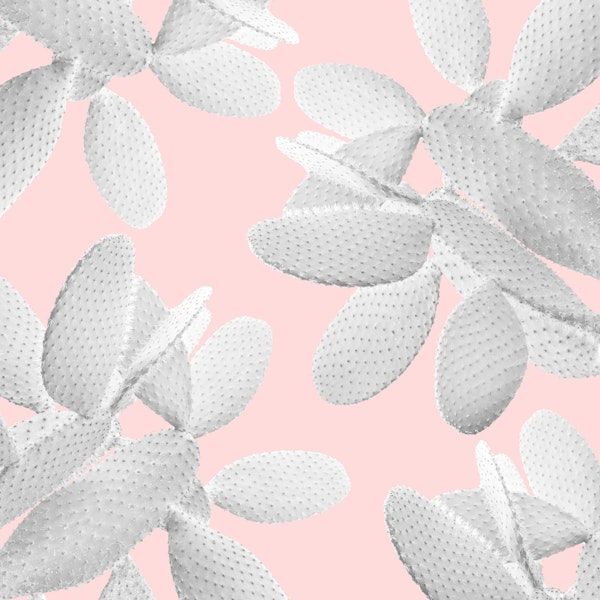 White Blush Cacti Vibes 2