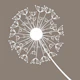 Dandelion Taupe Latte Ash Nude