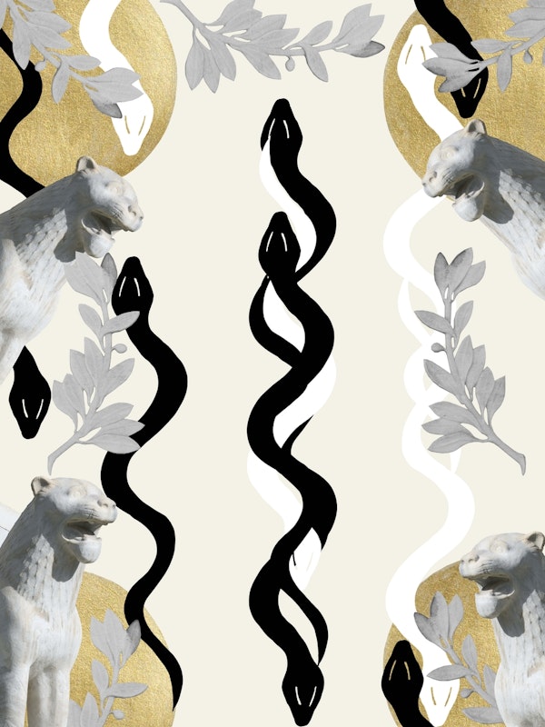 Snake Lion Finesse 1