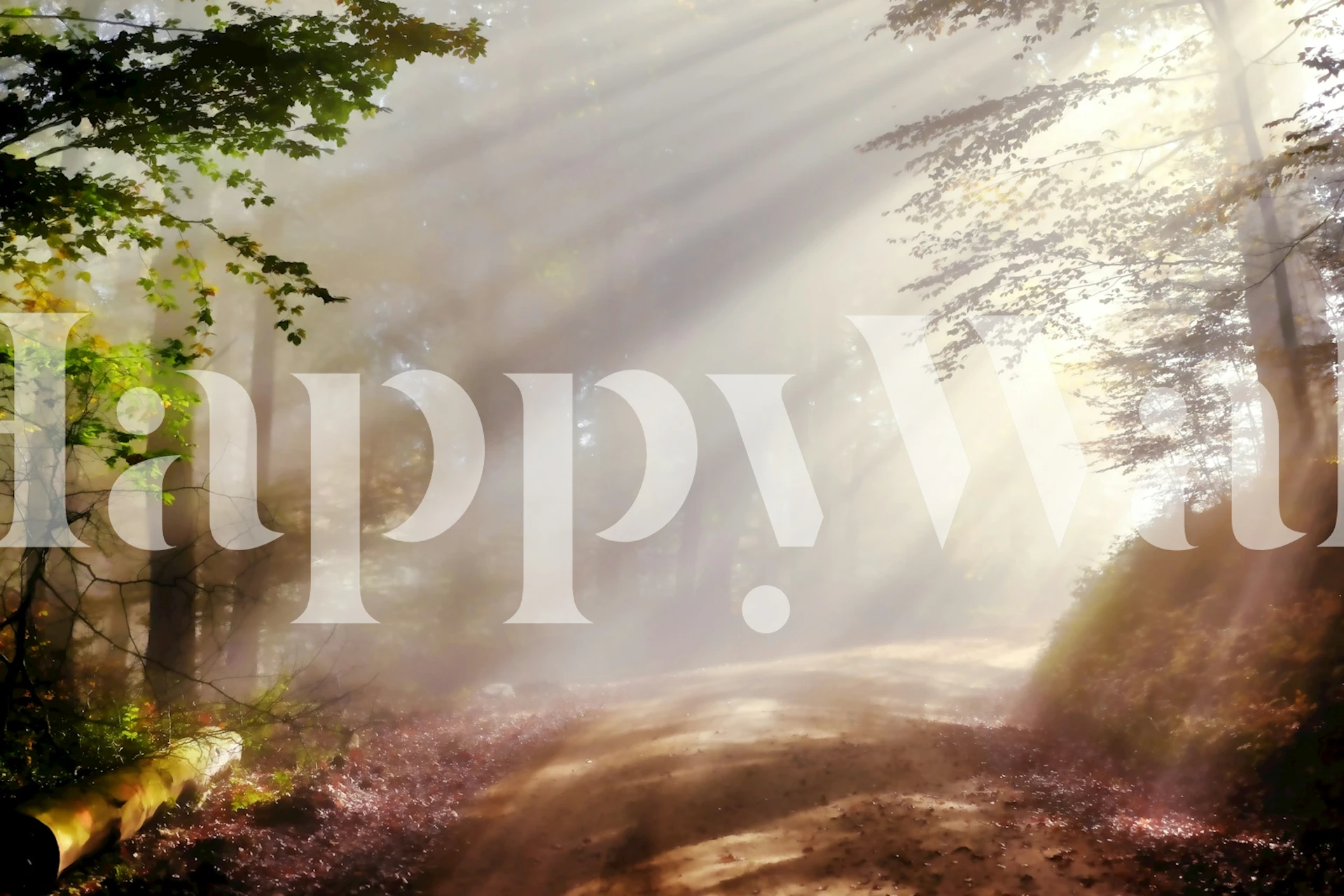 Sun rays filtering through green trees on a misty path wallpaper