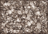 Baroque Macabre Sepia ταπετσαρία