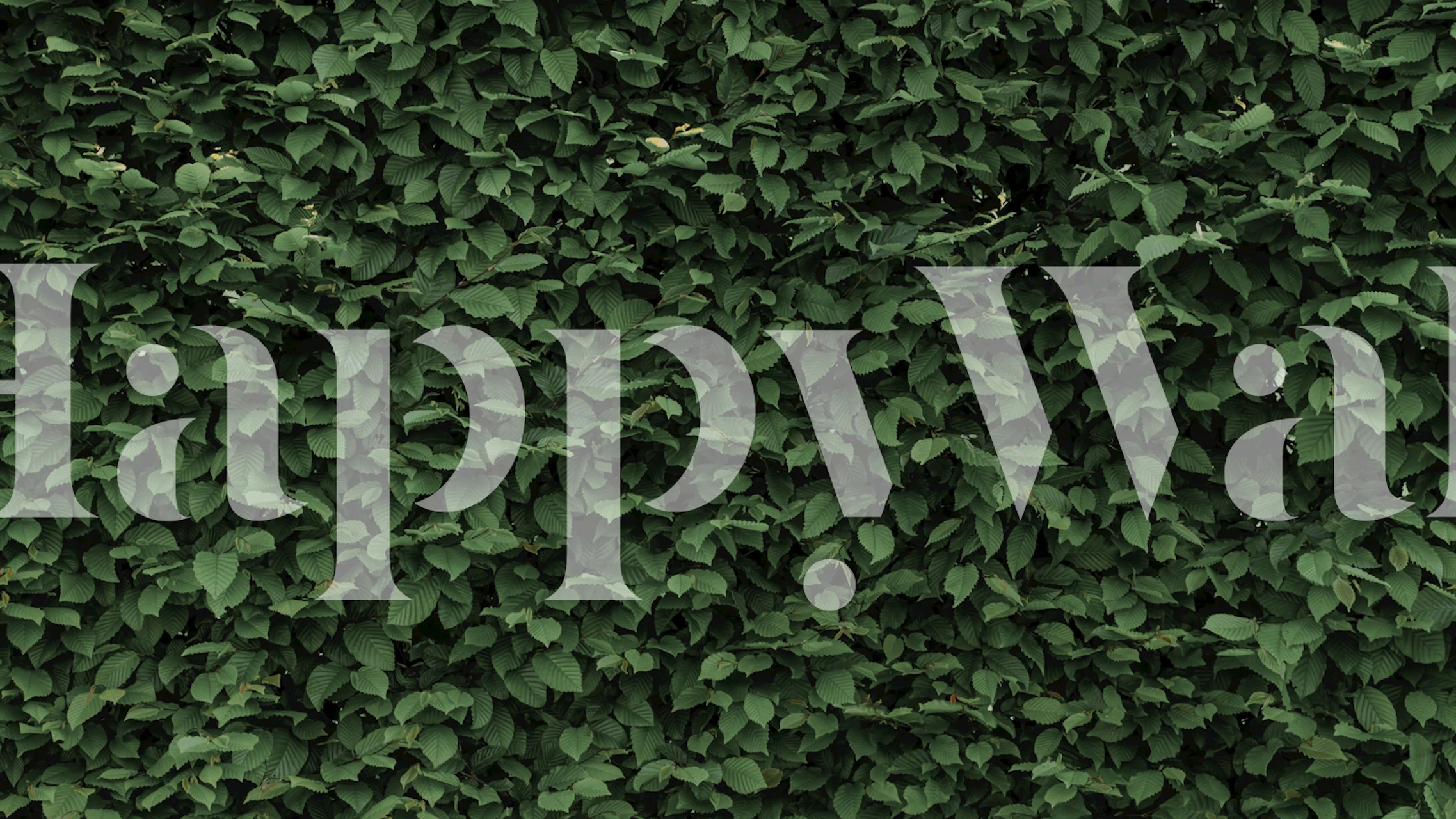 Forest Leaves Garden wallpaper in a room