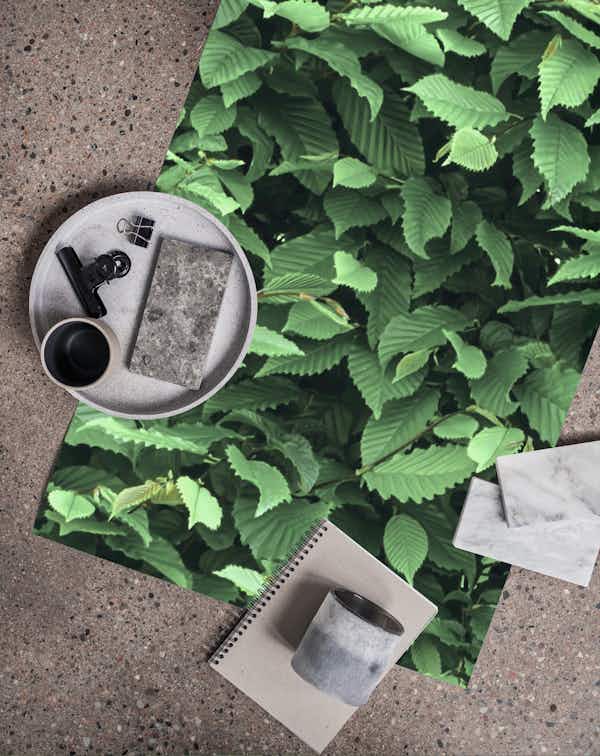 Spring Leaves wallpaper Happywall