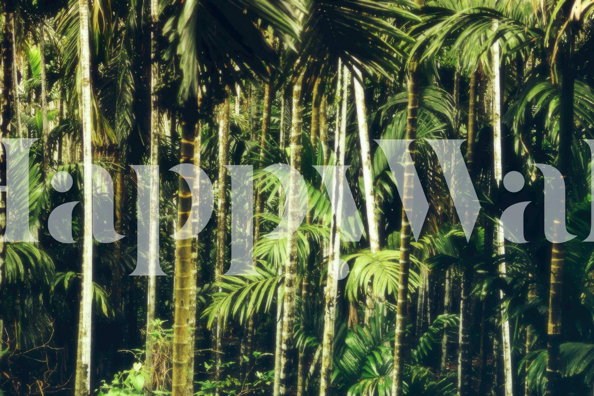 Jungle palms wallpaper in a room