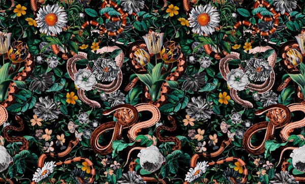 Dangers in the Forest V