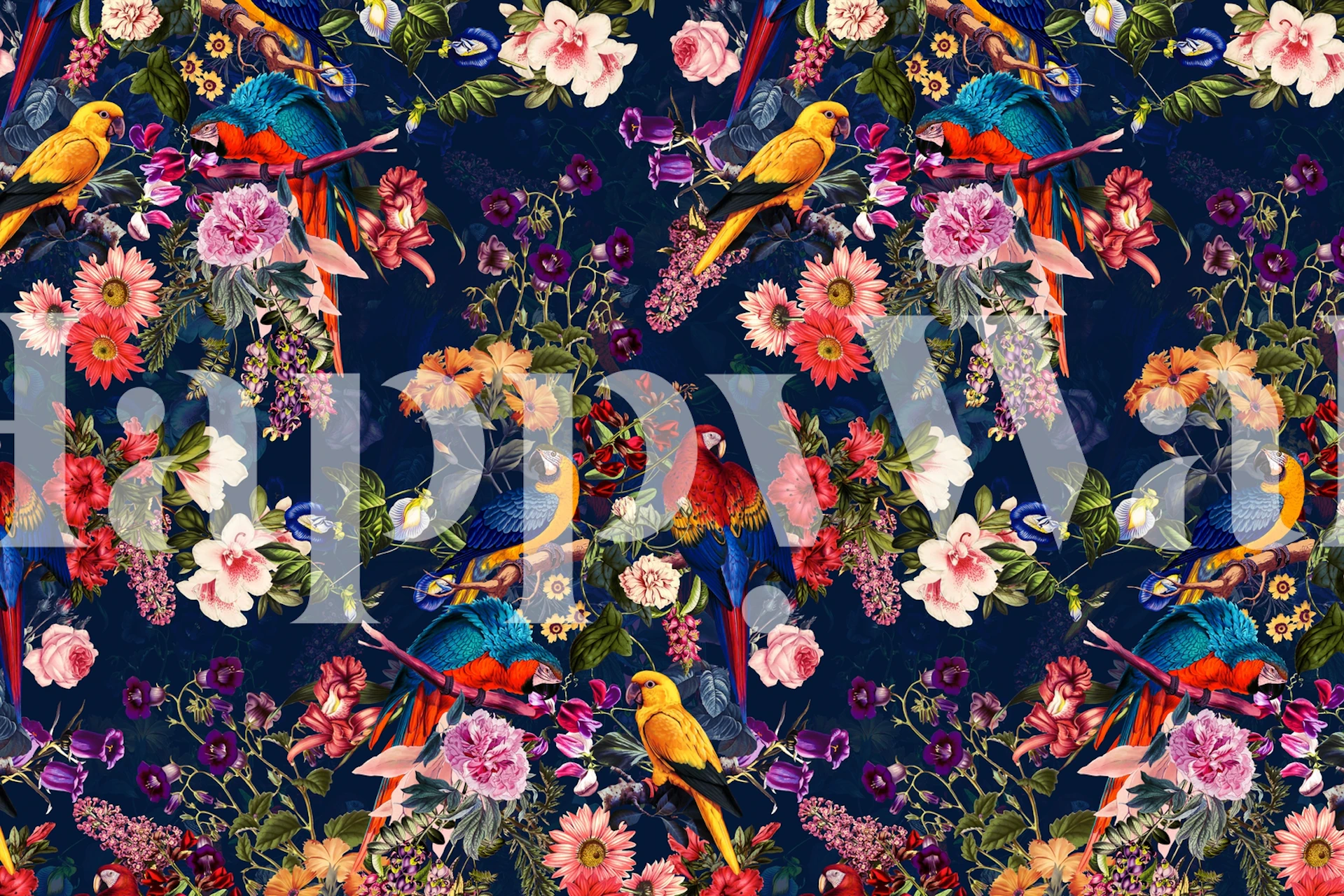 Colorful wallpaper featuring birds and flowers over a dark background.