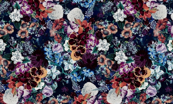 Exotic Garden - Night XVI