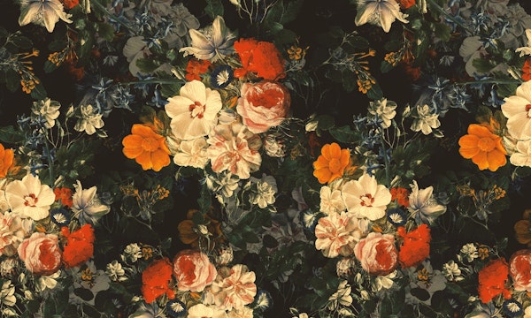 Mysterious Garden IV