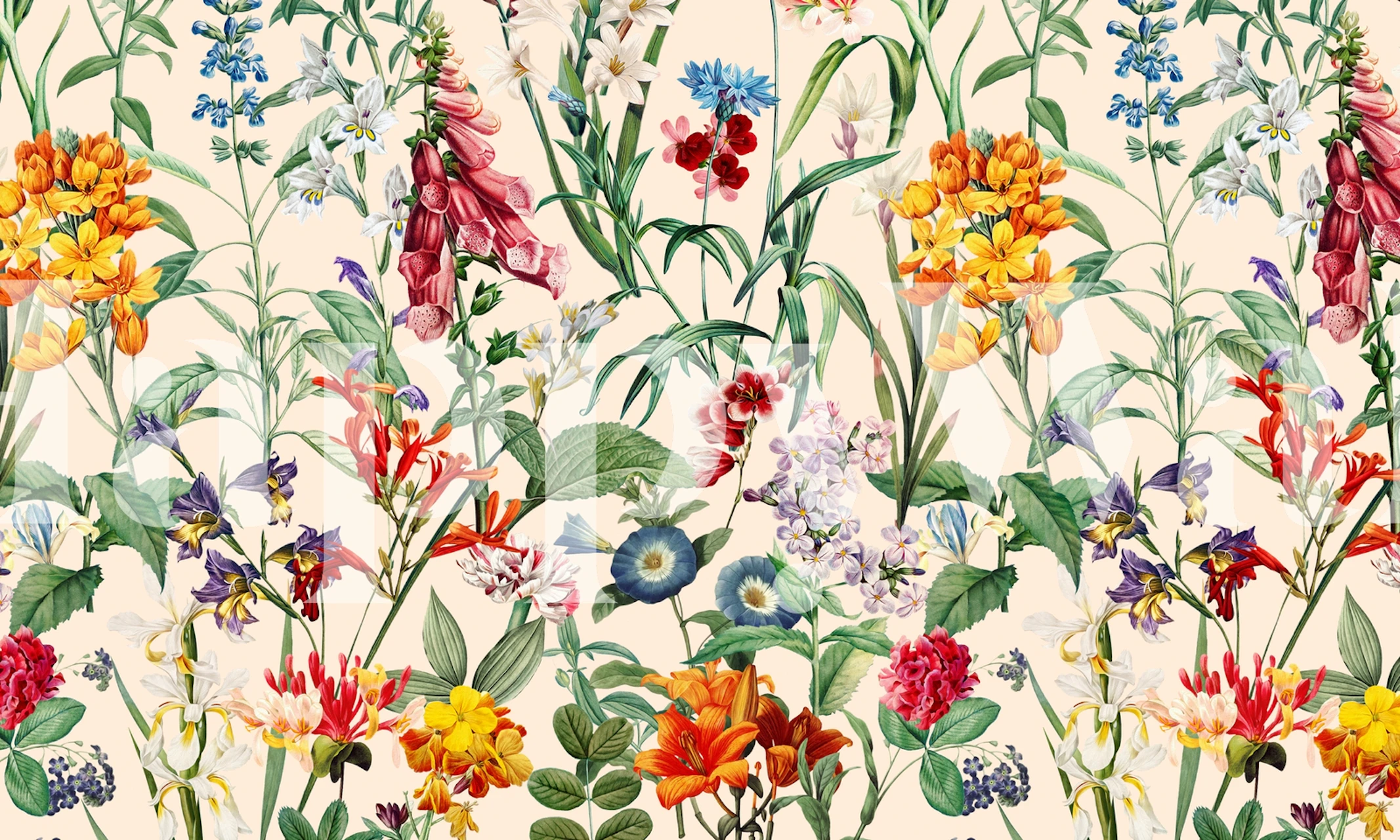 Värikäs kukkainen seinämaalaus Magical Garden XXIII, jossa on erilaisia eloisia kukkia ja vehreyttä