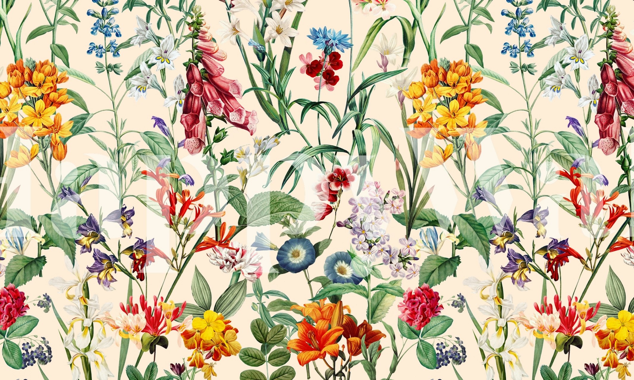 Šareni cvjetni zidni mural Čarobni vrt XXIII s raznim živim cvijećem i zelenilom