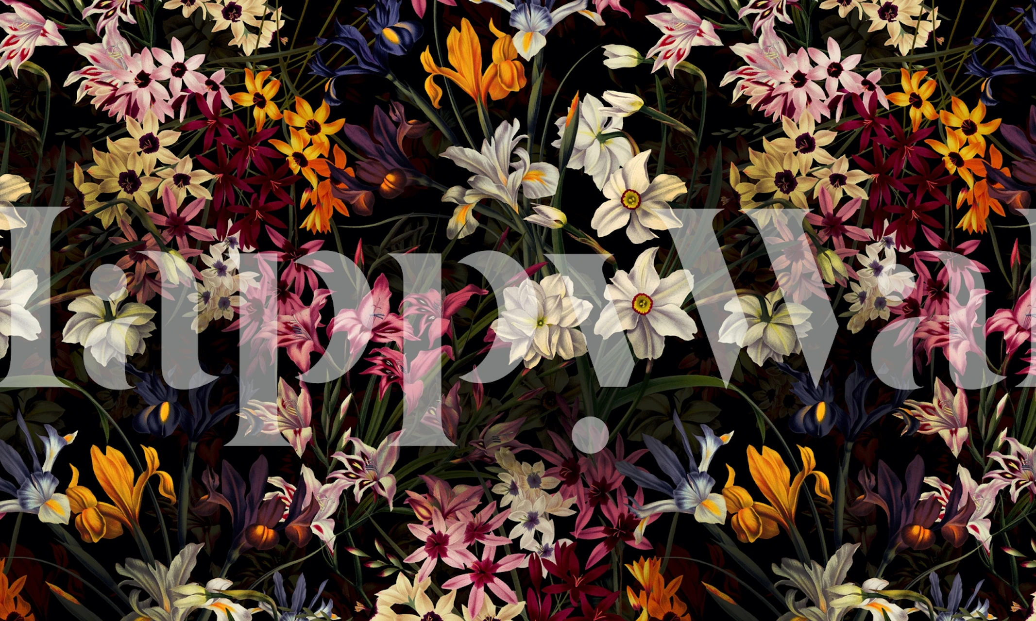 Colorful floral wallpaper featuring various blooms on a black background