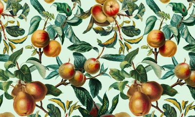 Mural