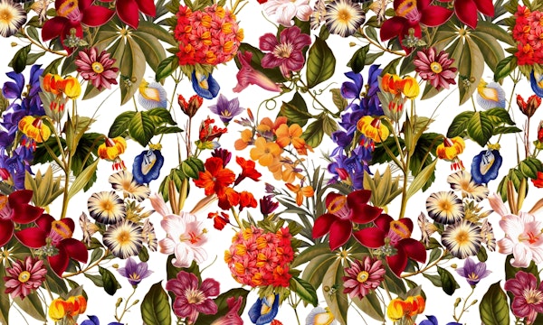 Summer Dreams VII-II