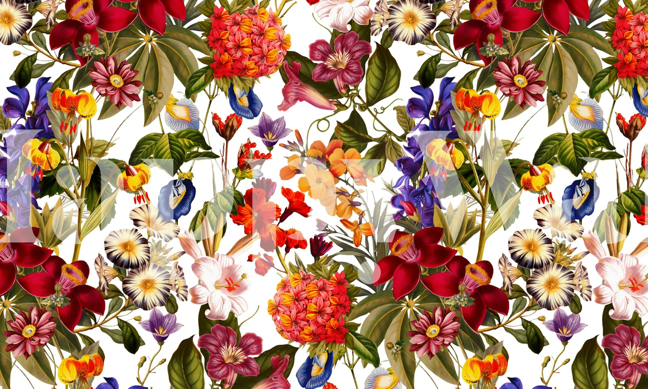 Vibrant floral wallpaper design in a room