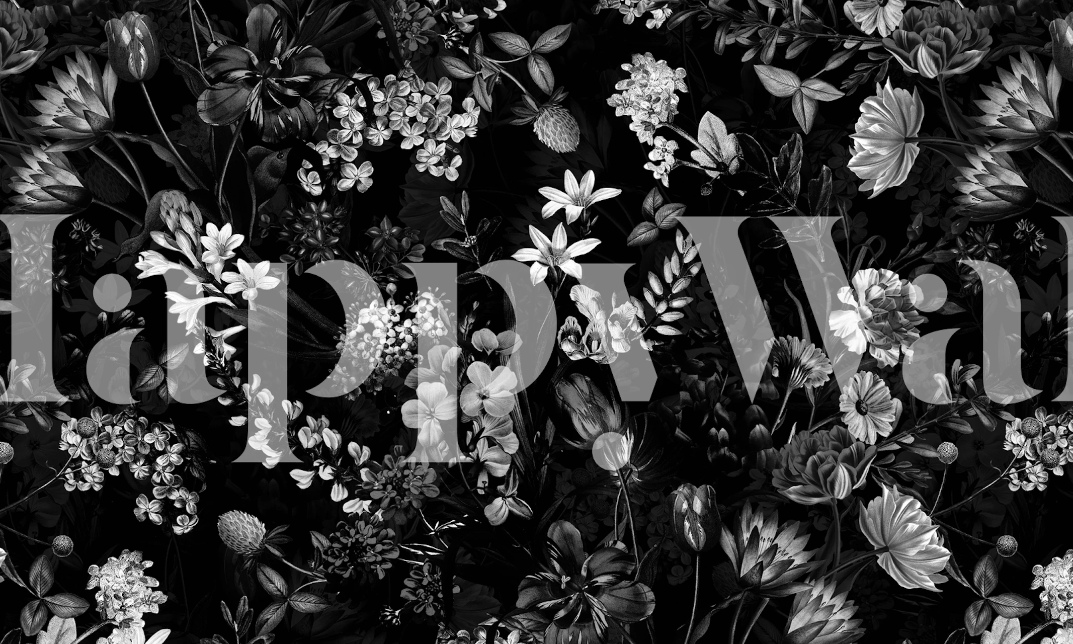 Black floral wallpaper with intricate white flower patterns