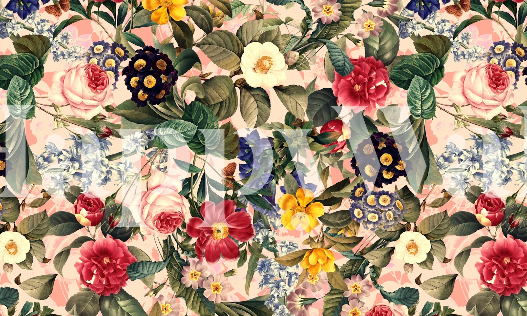 Colorful floral patterns with roses, daisies, and leaves wallpaper