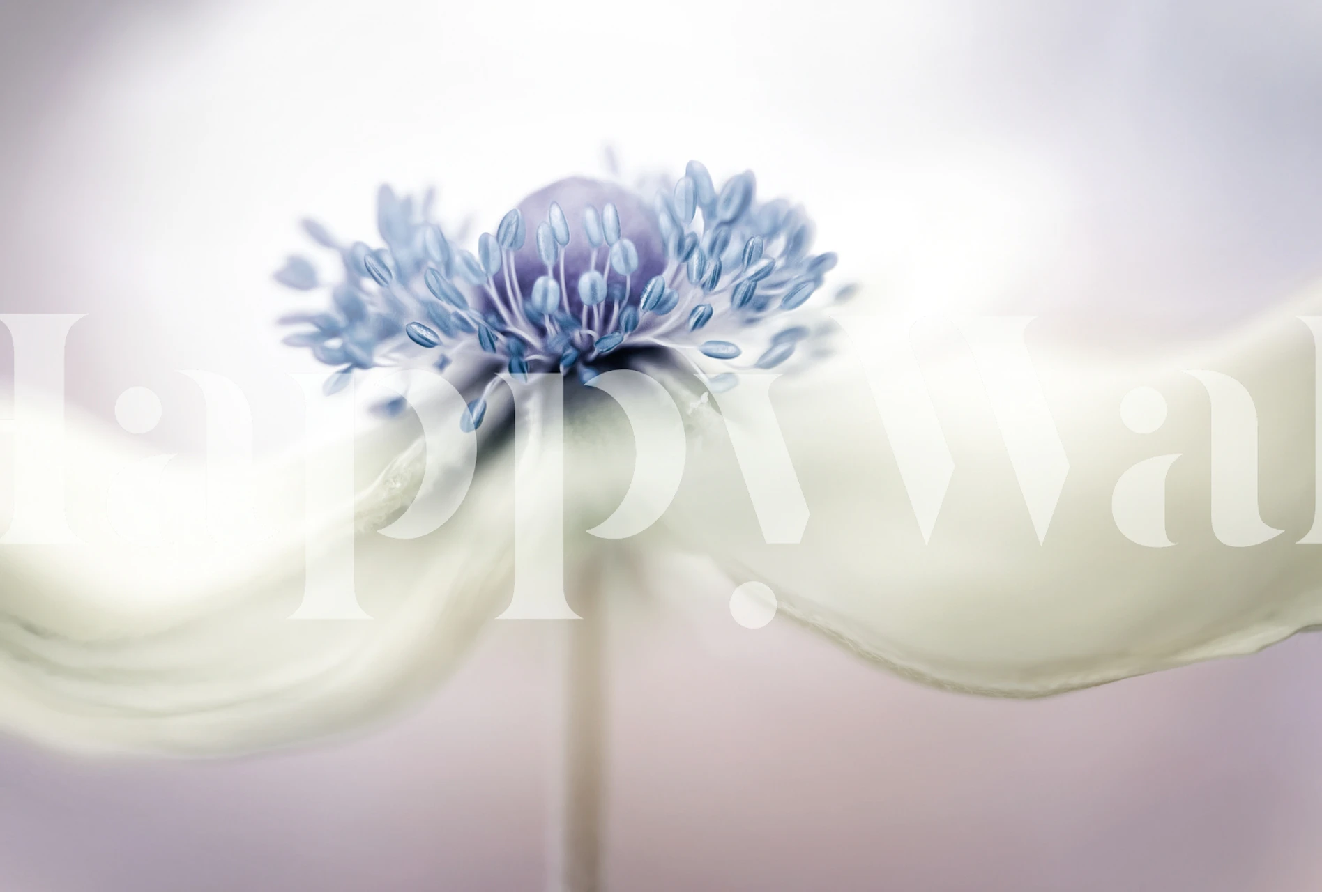 Delicate blue floral design with soft white background wallpaper