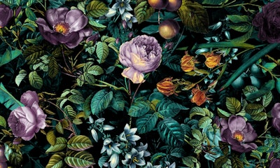 Mural
