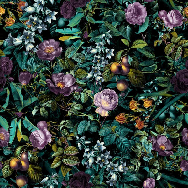 Exotic Jungle - Night