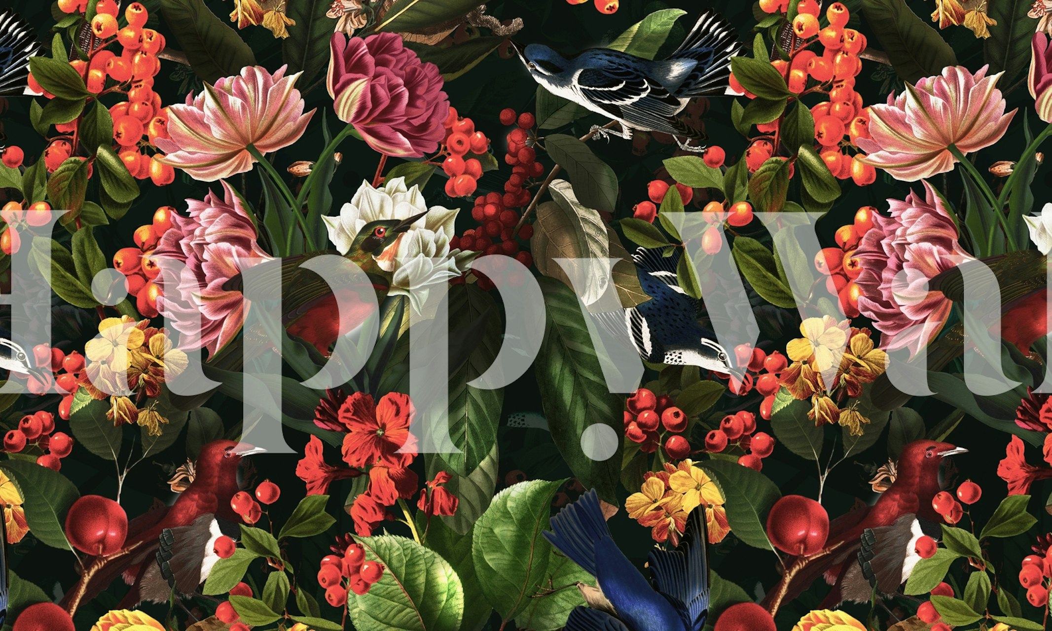 Floral and bird motifs in vibrant colors on black wallpaper