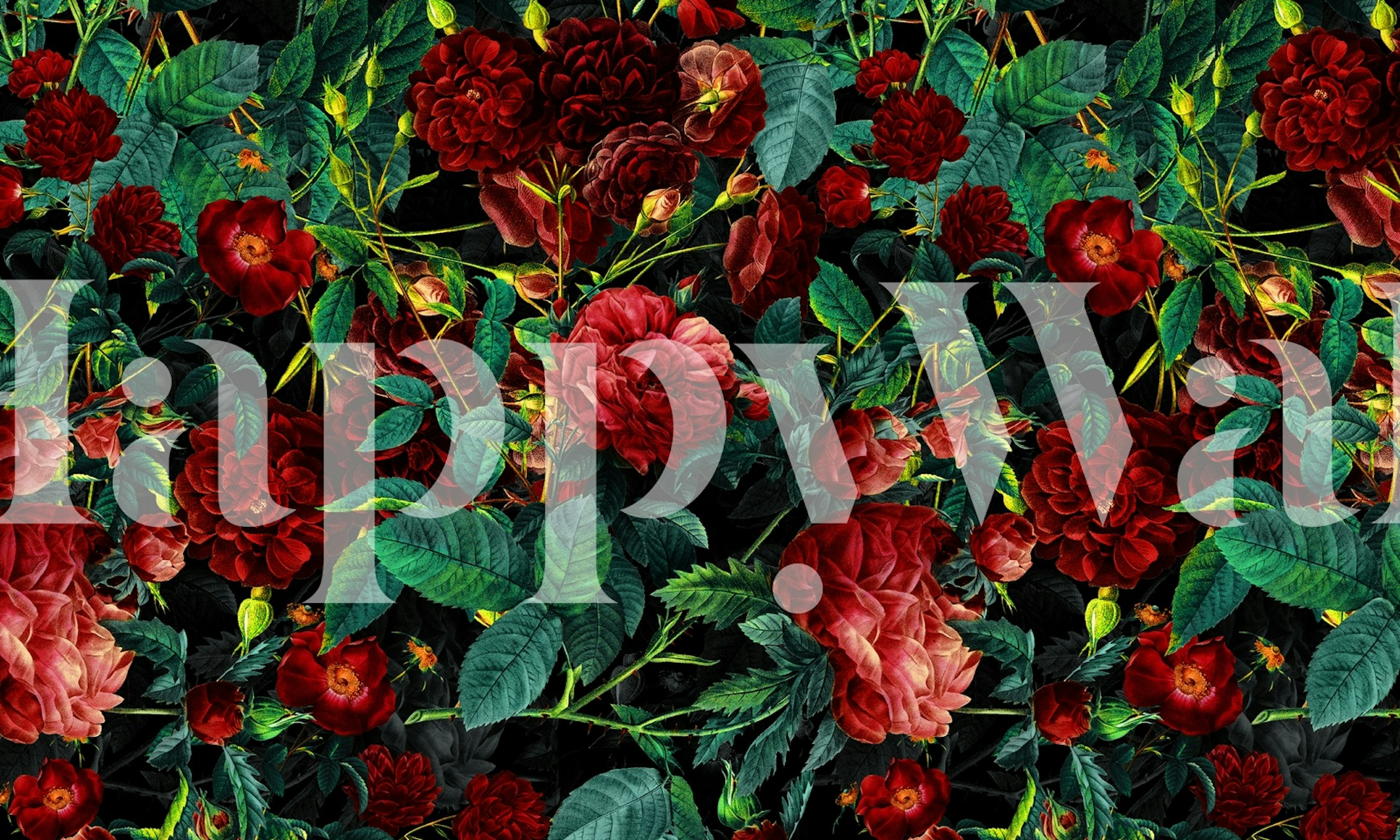 Blooming red roses wall mural with lush greenery for home decor