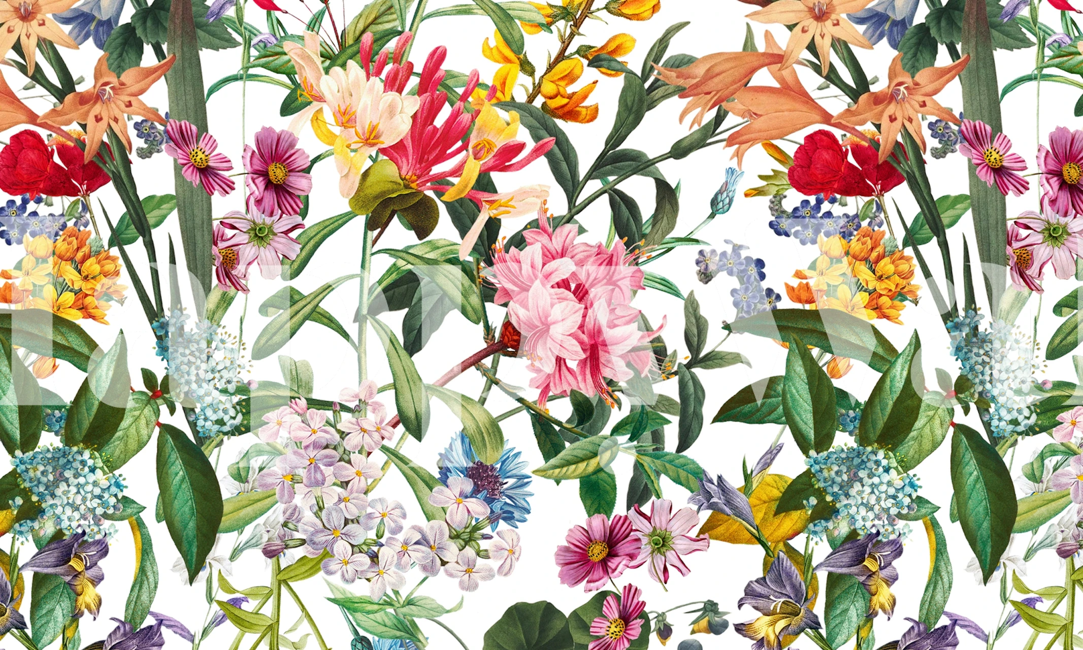 Colorful floral patterns with pink, yellow, and purple flowers on white background wallpaper