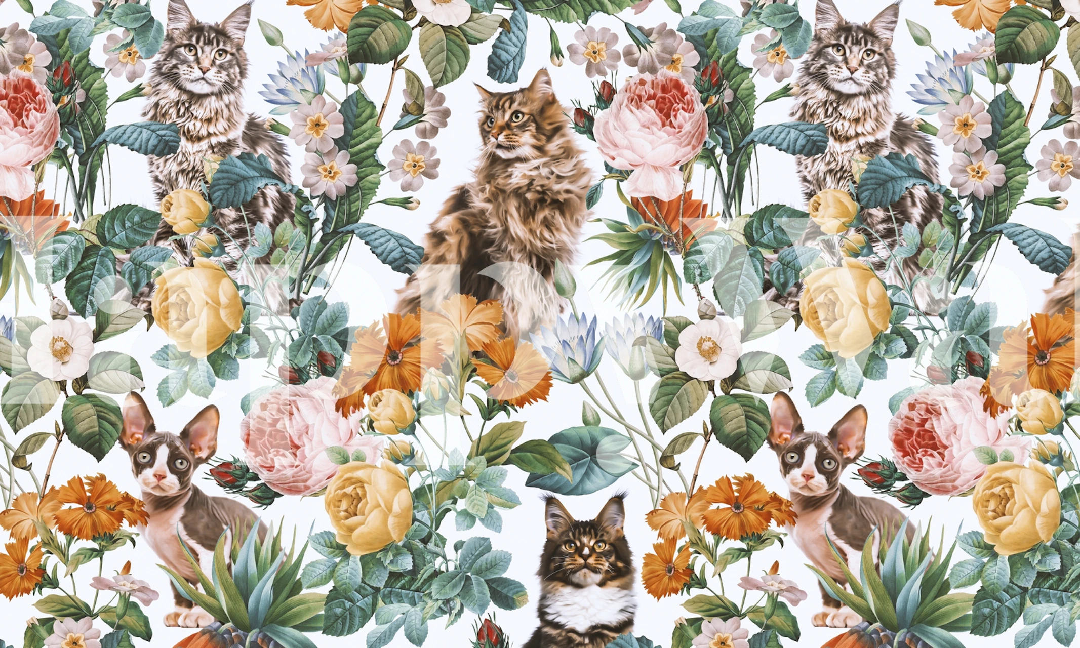 Colorful floral wallpaper with various cats and flowers