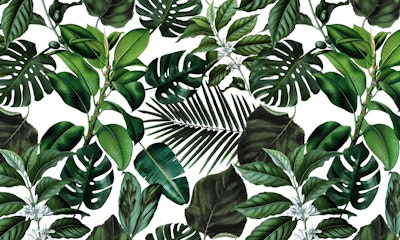 Mural