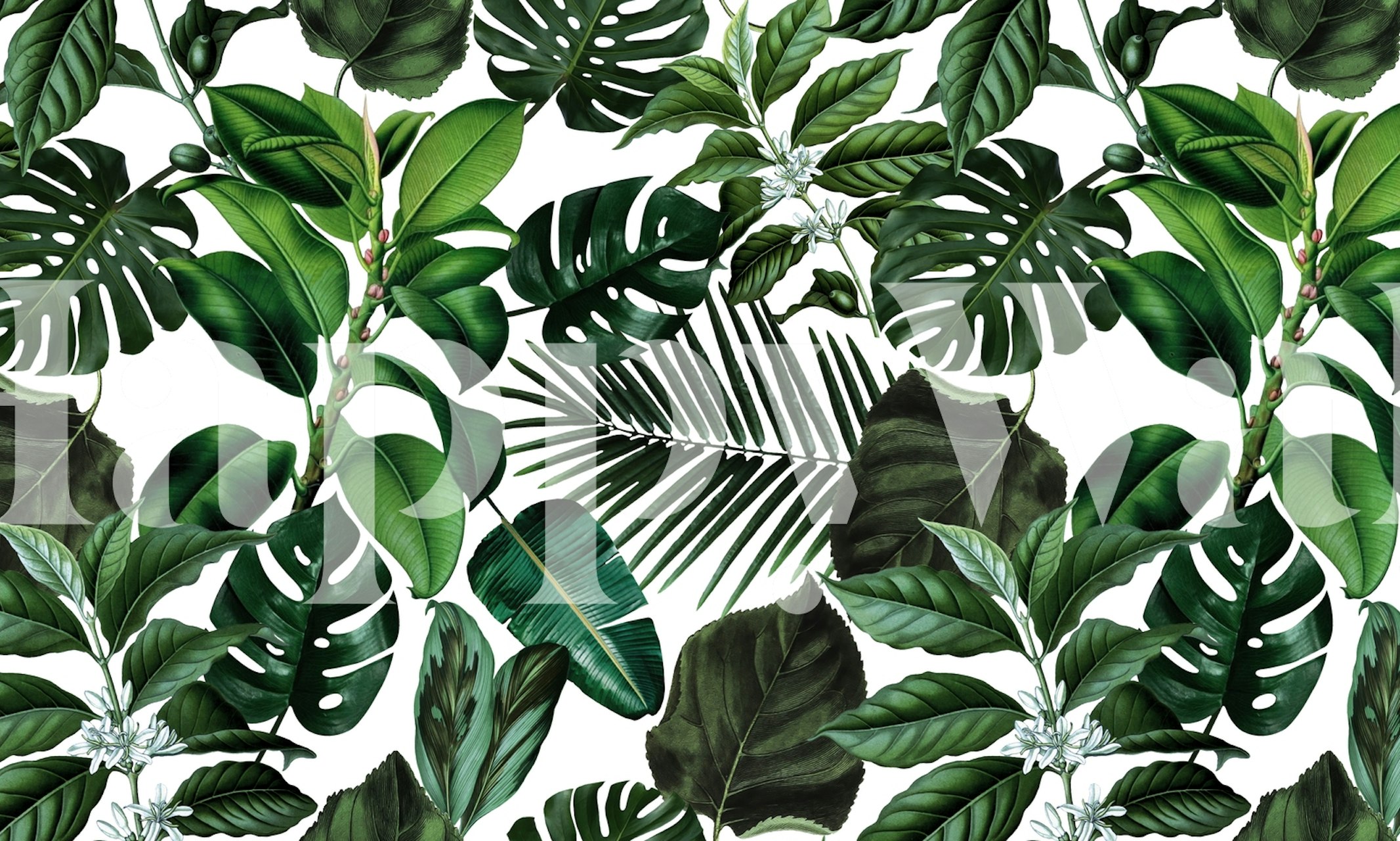 Tropical leaves wall mural with monstera and fern patterns