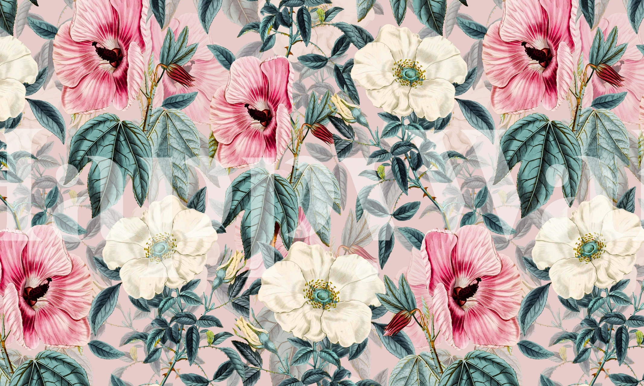 Tropical floral wallpaper with pink and white blooms and green leaves