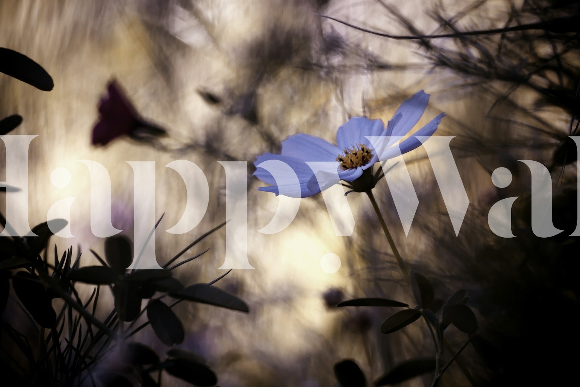 Indifference floral wallpaper design displayed indoors