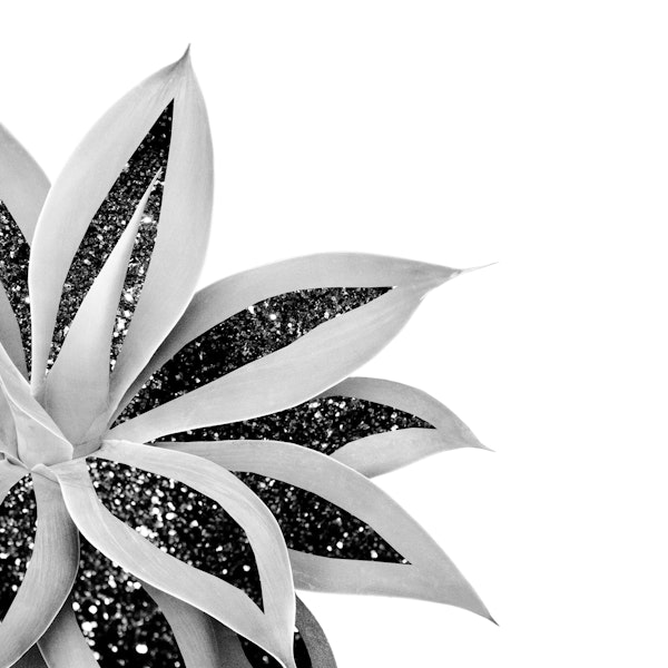 Agave Finesse Glitter Glam 5