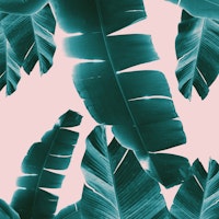 Banana Leaves Summer Vibes 1 tapety