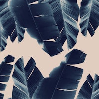 Banana Leaves Tropical 6 wallpaper